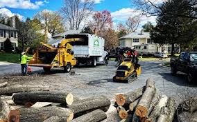 Best Hazardous Tree Removal  in St Augusta, MN